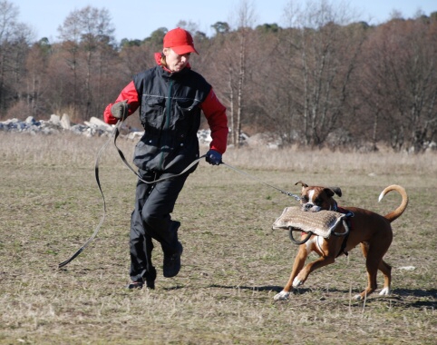 Training in Estonia 30.3 - 1.4. 2007